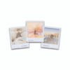 Wild Lands Tarot Wild Lands Tarot is a 78-card deck of global photography, holographic foil, and energetic codes—activating intuition and spiritual connection.