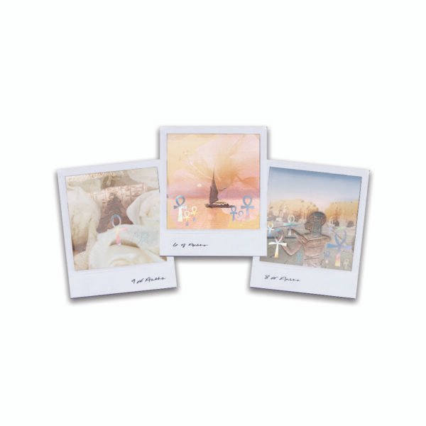 Wild Lands Tarot Wild Lands Tarot is a 78-card deck of global photography, holographic foil, and energetic codes—activating intuition and spiritual connection.