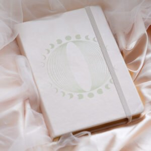 version 1 Quantum Connections Manifestation Journal