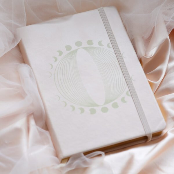 version 1 Quantum Connections Manifestation Journal