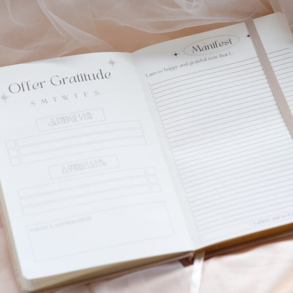version 1 Quantum Connections Manifestation Journal